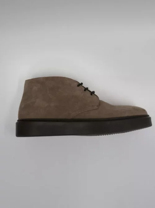 Doucal's Veterschoen