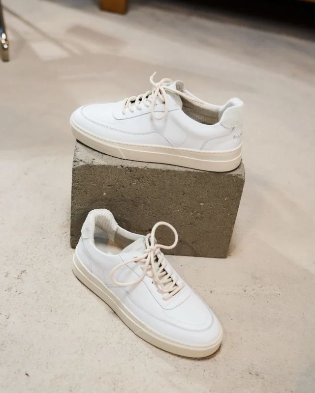Shop onze sneaker collectie online & in de winkel. 🪐